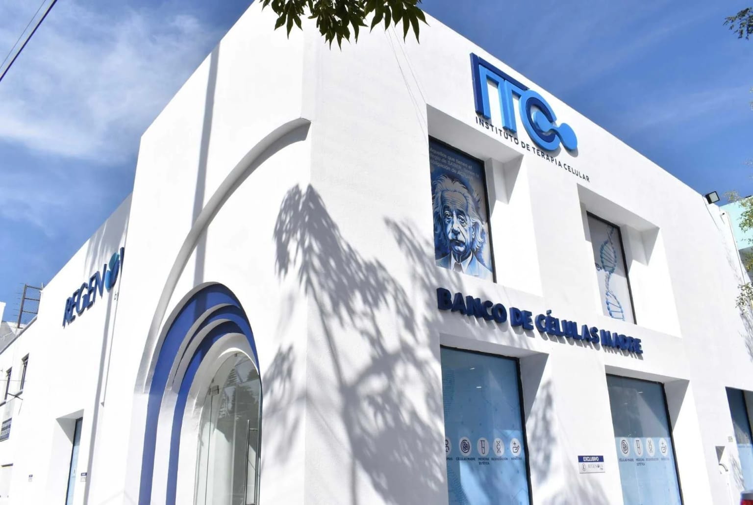 Institute of Cellular Therapy - Stem Cell - Image 1